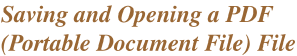 Instructions for Using PDF Files