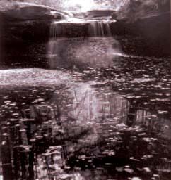 Swift Camp Creek by Robert Hill